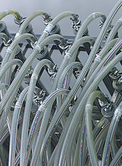 hjc888黄金城·(中国区)官方网站