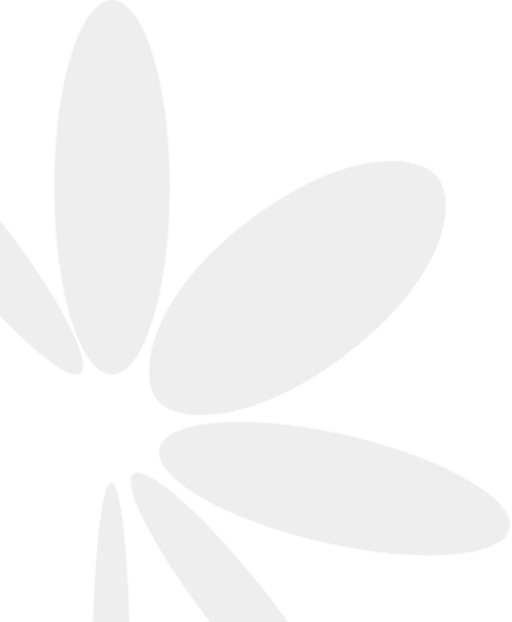 hjc888黄金城·(中国区)官方网站