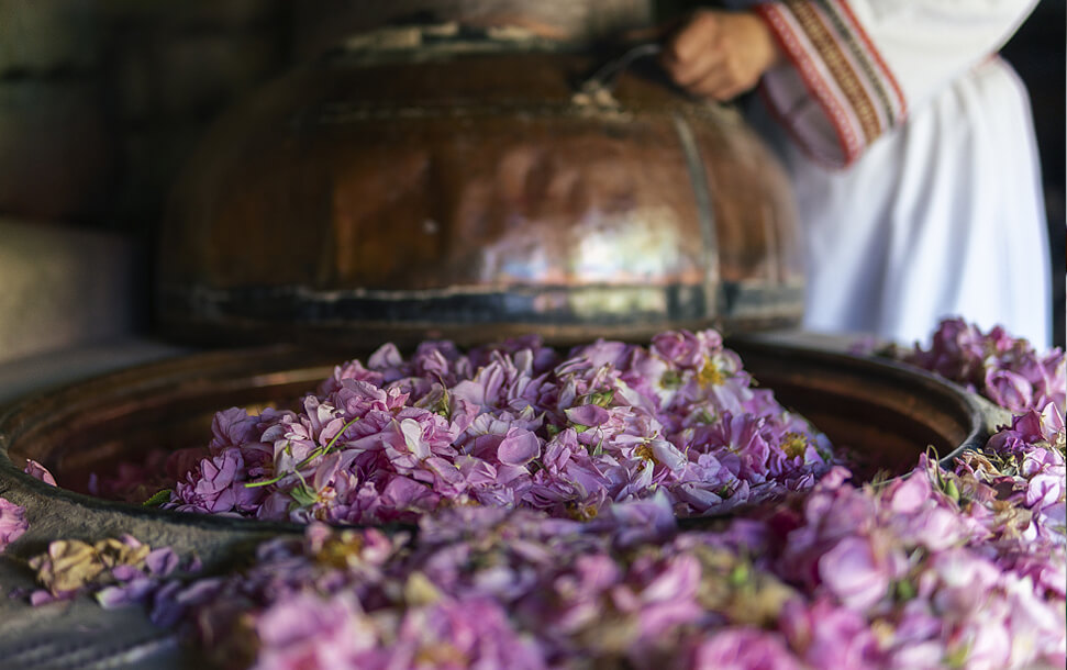 hjc888黄金城·(中国区)官方网站