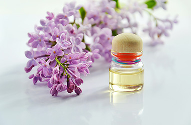 hjc888黄金城·(中国区)官方网站