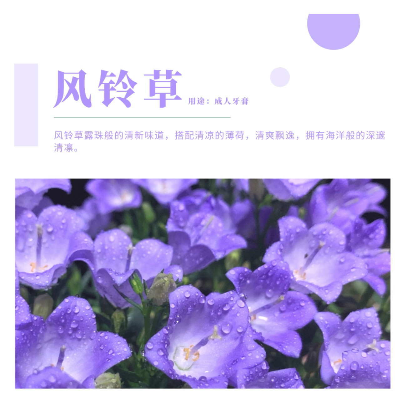 hjc888黄金城·(中国区)官方网站