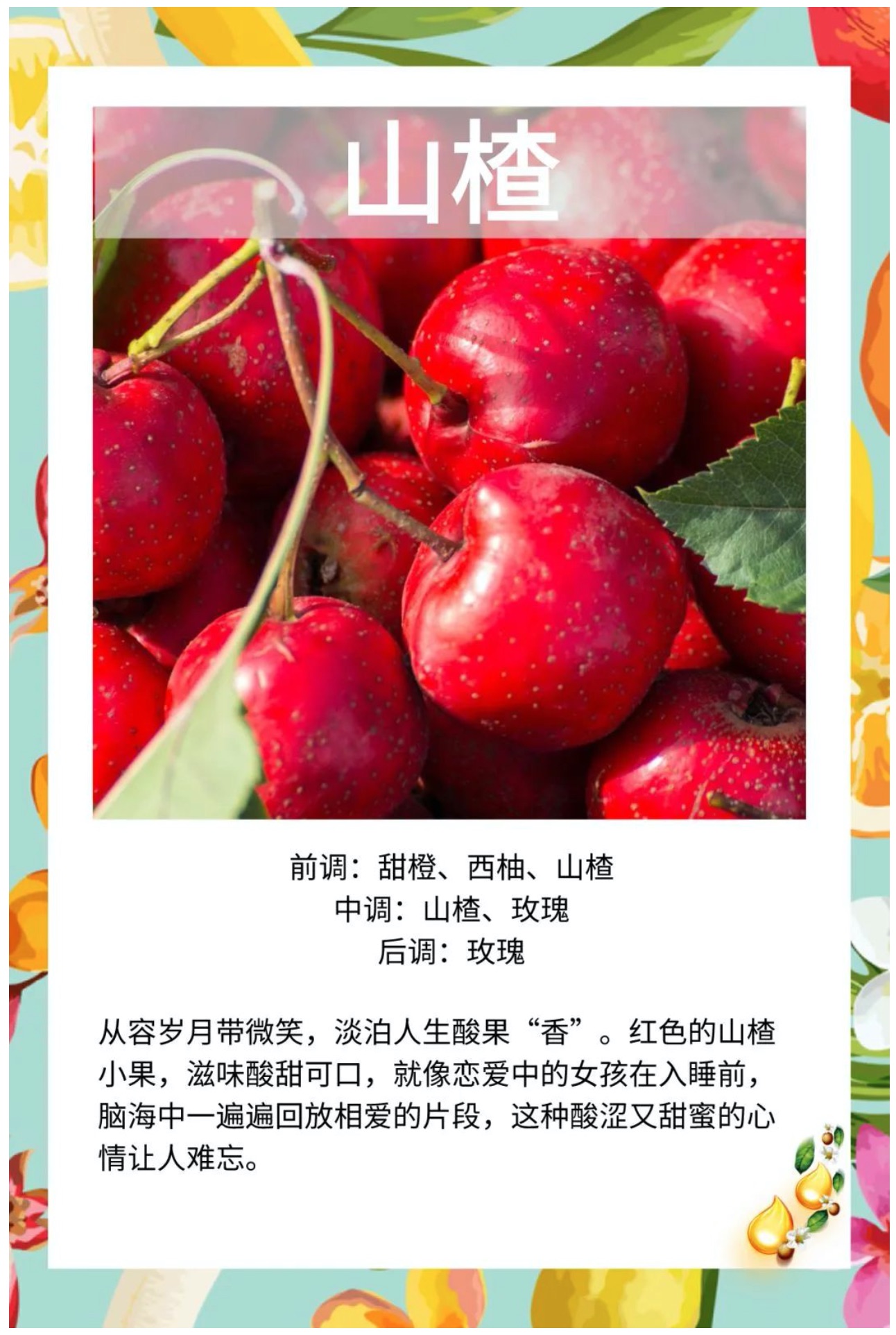 hjc888黄金城·(中国区)官方网站